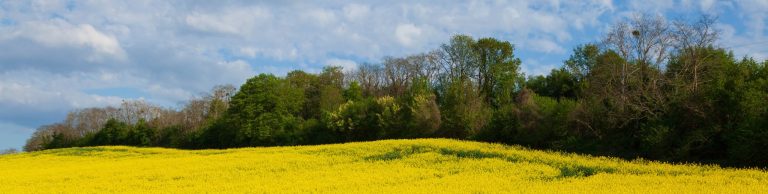 la petite maison de senarmont