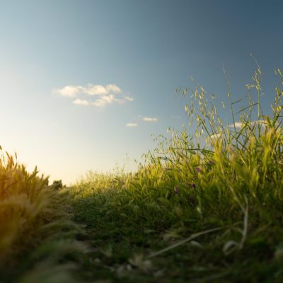 pexels-hassan-ouajbir-2125422