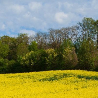 la petite maison de senarmont